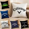 Fashion C-Callaway Pillow Case Anti-dustmite Invisible Zipper Sofa Bed