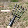 Five-Tooth All-Steel Rake for Beach, Clam Digging, and Gathering Seafood