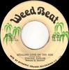 7-Zoll-Schallplatte TYRONE TAYLOR Stealing Love On The Side WB112 Weed Beat 1981 Jamaika Reggae Ska Dub Gebraucht