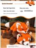 Stuffed Animal Collection: Fox, Panda, and Raccoon Plush Toys for Kids