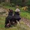 Modischer Regenmantel für Airless Terrier Weiche Welpenkleidung Warmer wasserdichter Mantel für Italienischen Windhund Whippet Hundejacke