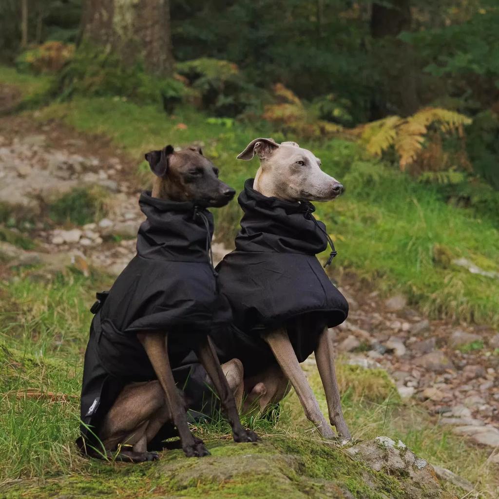 Modischer Regenmantel für Airless Terrier Weiche Welpenkleidung Warmer wasserdichter Mantel für Italienischen Windhund Whippet Hundejacke