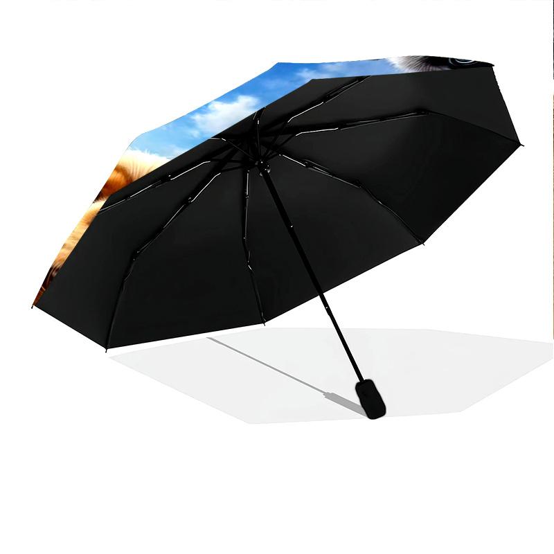 1pc Dog Lover Cute Pet Chihuahua VIP Border Collie Dog Umbrella Portable Folding Umbrella Iron Frame Hole Bone Structure Outdoor Home Umbrella H2