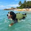 Cute Turtle Shape Pet Life Jacket Portable Handle Adjustable Dog Safety Vest Reflective Life Preserver Dog Swimsuit