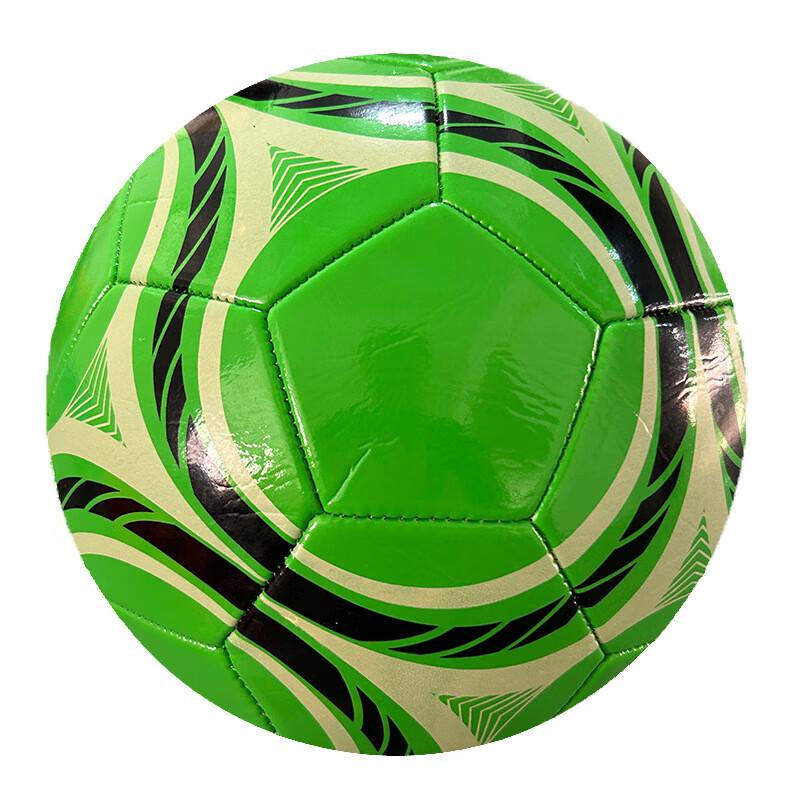 Pure Forest No. 5 PVC Training Football