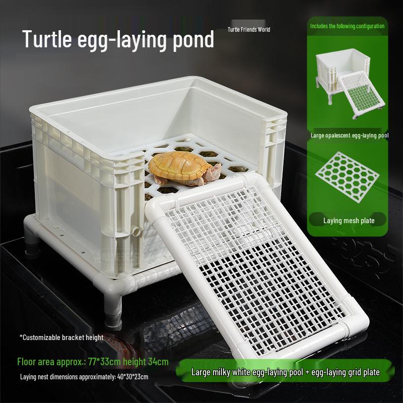 Turtle Egg-Laying Pond & Incubation Box with Basking Platform and Sand Pool