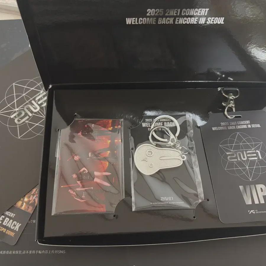 

2ne1 Концерт VIP Предзаказ Бонус