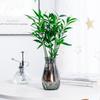 Hydroponic Plants Pot Creative Transparent Vases for Plant Bottle Lazy Flower Pot Plastic Flower Pot Table Vase Home Decor