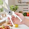 Heavy-Duty Kitchen Scissors for Poultry, Fish & Vegetables - Stainless Steel, Large Head, Multifunctional.