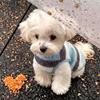 Dog fleece clothes autumn and winter rainbow candy striped than bear cat teddy small dog warm pet vest