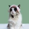 Cute Fruits Plants Dog Fisherman Hat Strawberry Lemons Breathable Pet Cat Sun Hat Comfortable Adjustable Dog Sunscreen Hat