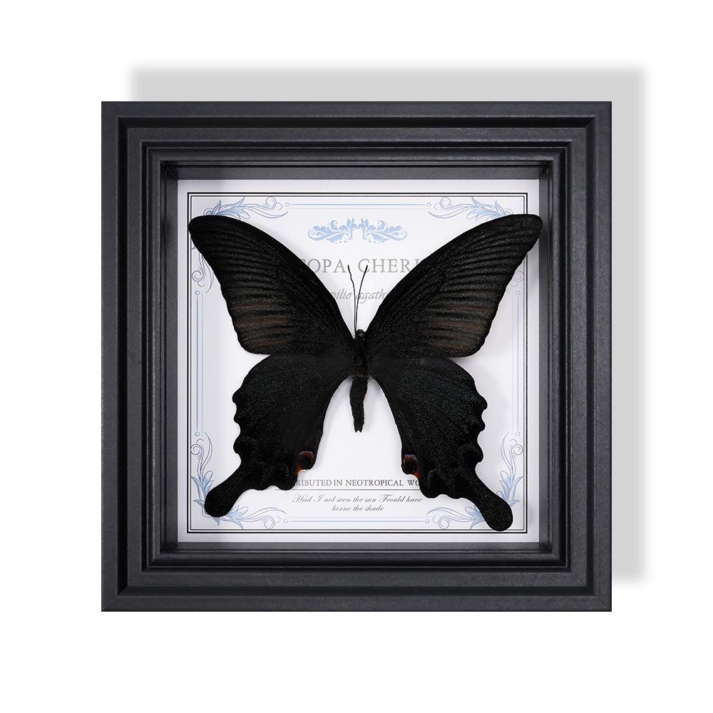 Wall-Mounted Butterfly Specimen Photo Frame: Home Decor & Gift for Valentine's Day, Qixi, Birthday, Couples & Insect Lovers