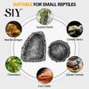 Natural Habitat Reptile Food Dish Feeding Realistic Stone-Like Water Bowl Terrarium Imitation Rock Texture Corner for Bearded Dragons Lizard