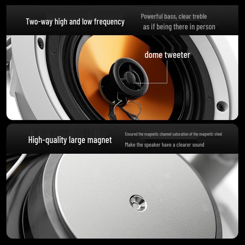 SAST Coaxial Ceiling Speaker System