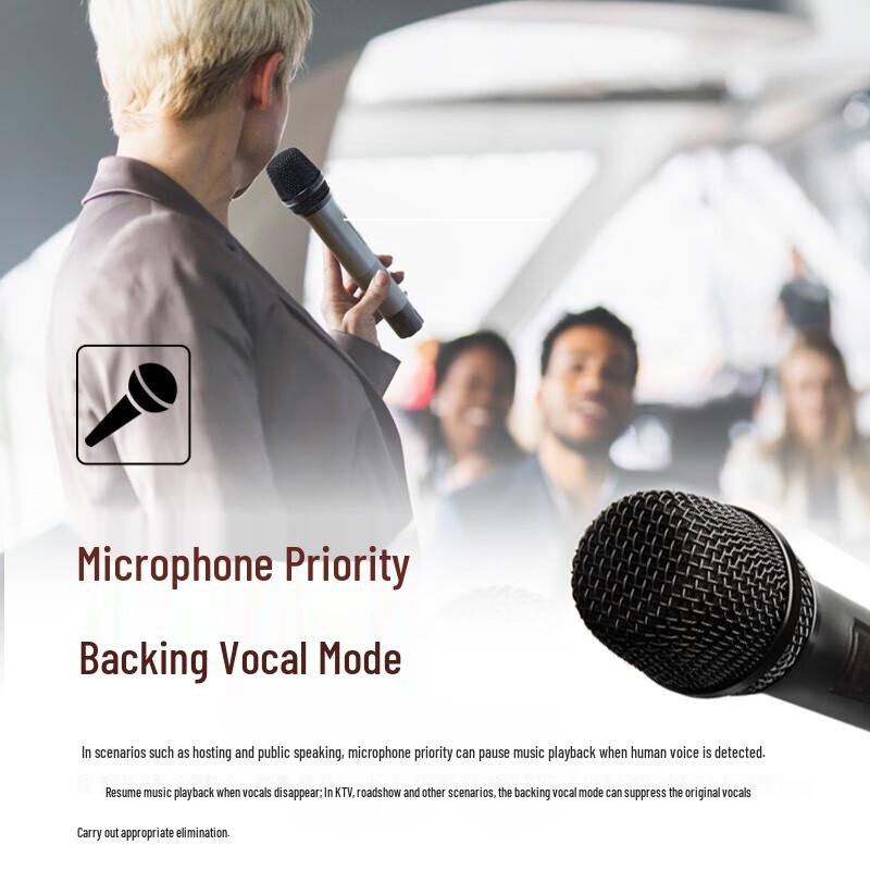 Edifier PW312 12-inch Portable Bluetooth Speaker