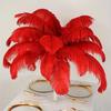 10Pcs Gifts 15-20cm Ostrich Feathers Stage Props Table Accessories Ostrich Plumes Fluffy DIY Feather Accessories Home Decoration