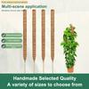 1Pcs Moss Poles for Plants Monstera Bendable Climbing Plant Stakes Indoor Coir Plant Support Garden Trellis Plant Stick Stakes