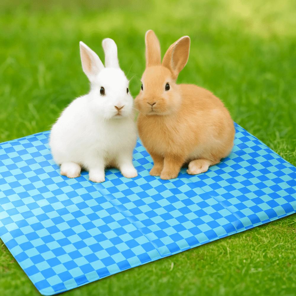 Adjustable Pet Electric Blanket Timing Dog Cat Warmer Cat Heating Pad  Autumn Winter Season