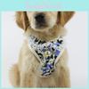 Versatile And Fashionable Pet Harness With Breathable Mesh For Outdoor Adventures