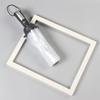 Transparent Automatic Folding Umbrella