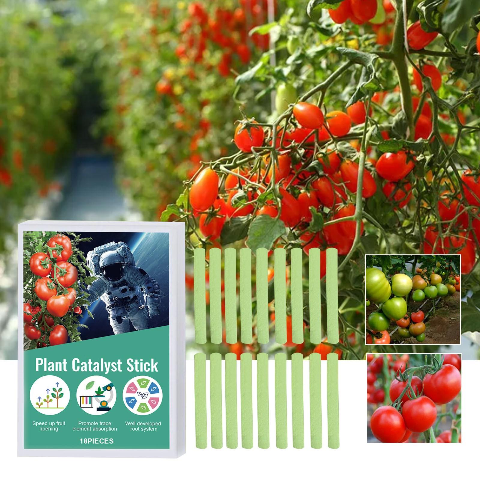 Plant Catalyst Stick 18 Pieces Root Growth Enhancer Organic Nutrient Absorption Promoter for Accelerated Fruit Ripening and Healthy Plant Development One Size