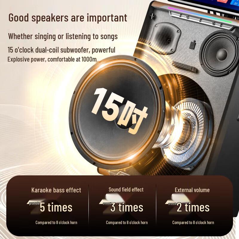 SAST Portable KTV Speaker System CN Plug (adapter Included)