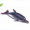 Water Crystal Dolphin Resin Decor With Semiprecious Stones For Home And Gift Use