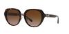 Coach Dark Tortoise Sunglasses Size 55 Women's HC8331,