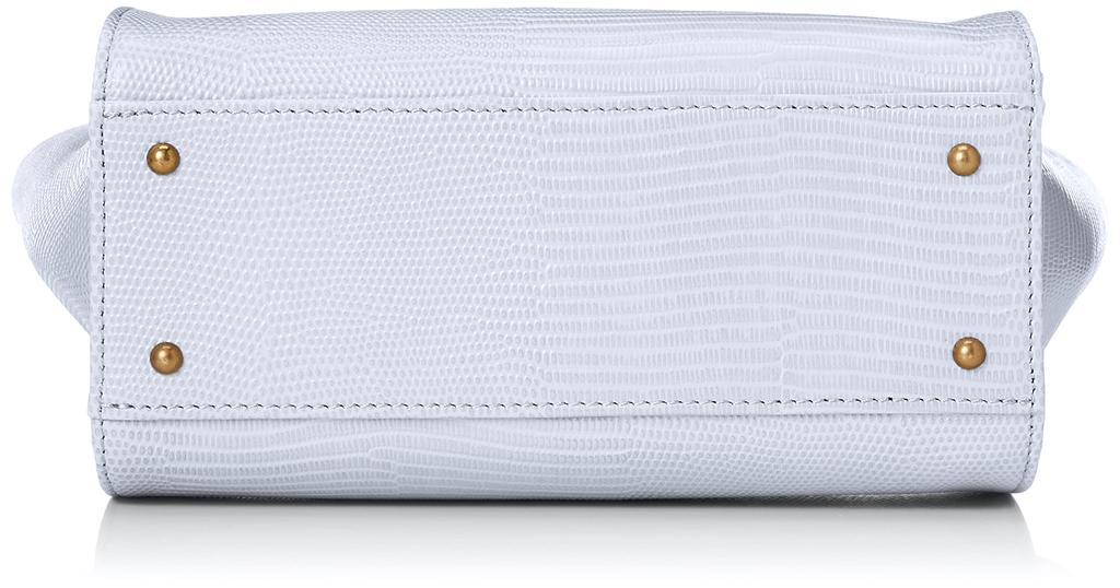 and Rise Lizard [Toff Lodestone] (S)