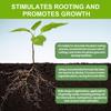 Schnell wurzelnde Pflanzennährstofflösung, Wurzelstimulator für Pflanzenwachstumsverstärker, Ergänzungsmittel, Schnell wurzelnder Pflanzennährstoff