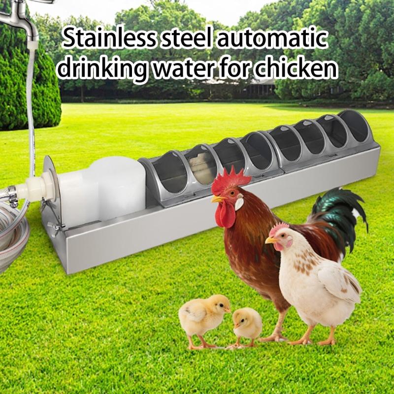 Stainless Steel Automatic Chicken Waterer For Poultry Durability Easyly Clean Perfect For Home Or Farm Use