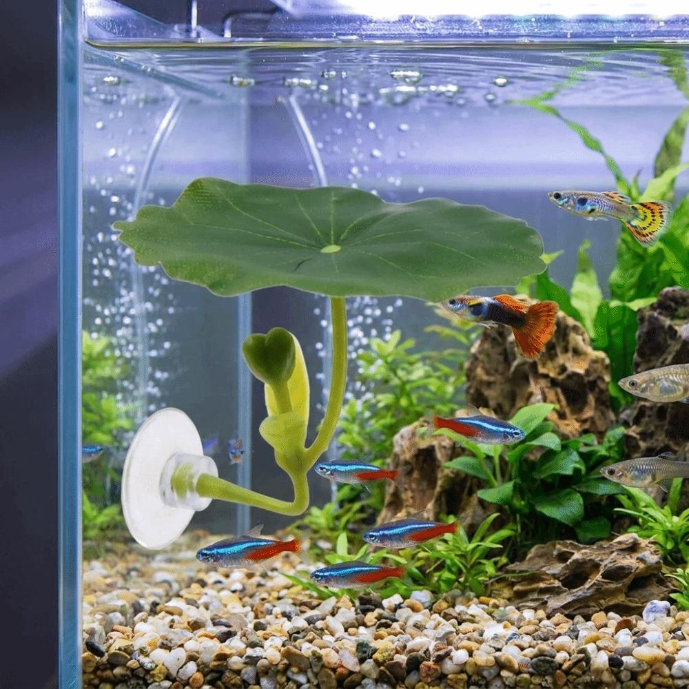 Simulated Lotus Leaves Betta Fish Floating Bed with Suction Cup Fish Hammock  Betta Fish Tank