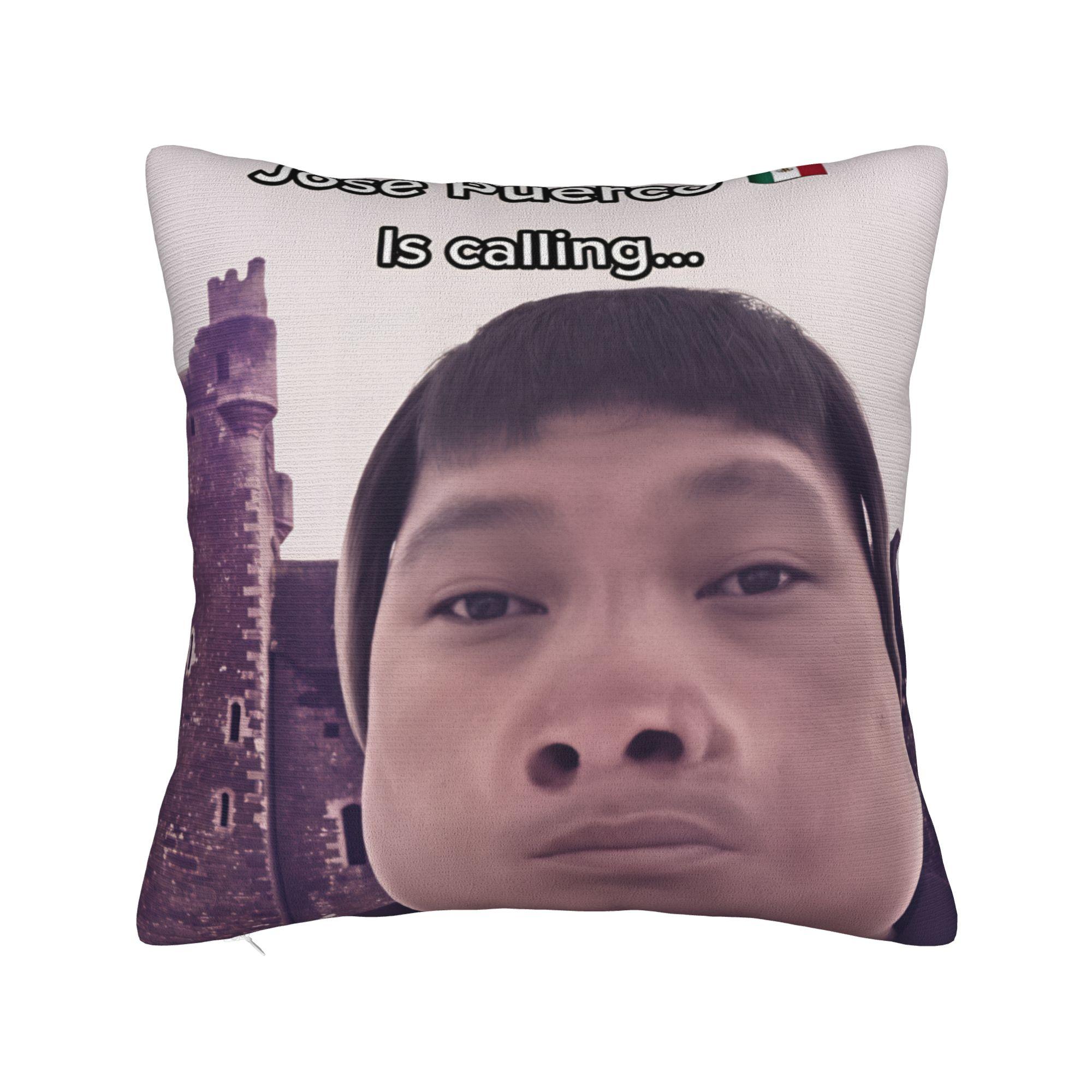 Shunika Chen Unisex Pillow Case John Pork Is Calling Soft Pillow Cover For Couch Sofa Bedroom Morden Pillowcases