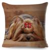 Cute MINI Dog Cushion Cover Decor Pet Animal Printed Pillowcase Polyester Pillow Case for Sofa Home Car Cm