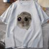 Sad Hamster T Shirt Funny Cute Cat Hamster Meme Trend Tshirt for Unisex WOMEN Cotton Tshirt Summer Short Sleeve Unisex Tee tops