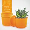 10 Inch Plastic Round Flower Pots with Tray for Home Planters, Terrace, Garden Etc | Pack of 05 | Orange | for Home Indoor & Outdoor Gardening Plants
