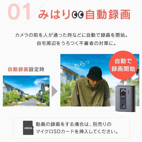 IRIS OHYAMA TV door phone TD-SM3010-WSH White/Gunmetallic