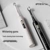 ApiYoo P7 TB-1 Sonic Electric Toothbrush CN plug (adapter included)
