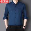 Hengyuanxiang Men's Wrinkle-Free Business Casual Long Sleeve Shirt