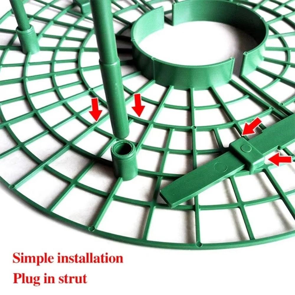 Avoid Ground Strawberry Planting Rack Keeping Plant Strawberry Planting Frame Vegetable Growing
