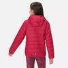 Regatta Childrens/Kids Hillpack Hooded Jacket