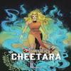 Thundercats Cheetara by Soo Lee Hardback Book 9781524127121