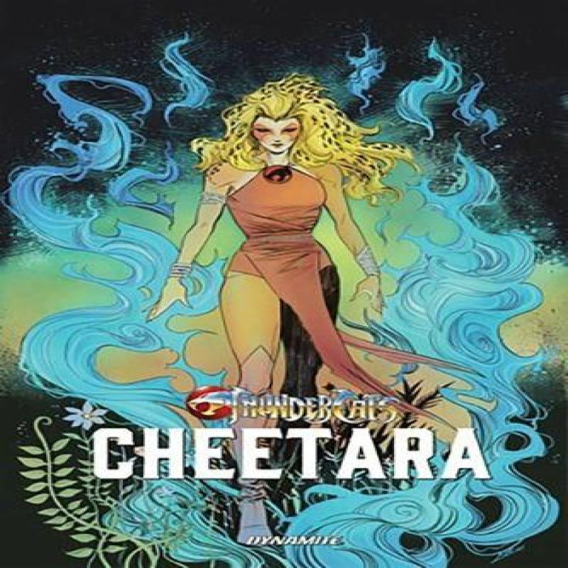 Thundercats Cheetara by Soo Lee Hardback Book 9781524127121