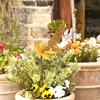 Progettazione giardini e paesaggi – Decorazioni per il giardino