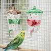 Spritzenfester Papageien-Wasserspender Auslaufsicher Große Kapazität Vogel-Wasserflasche Abnehmbar Hängend Vogel-Wassertrinker