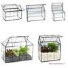 European Glass Conservatory Succulent Planter: Transparent Eco-Friendly Micro-Landscape Pot for Home Décor and Green Plant Ornaments.