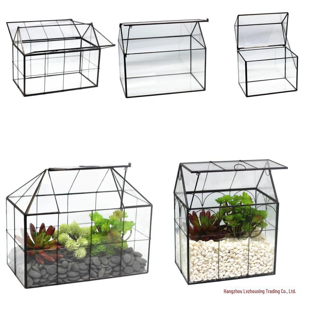 European Glass Conservatory Succulent Planter: Transparent Eco-Friendly Micro-Landscape Pot for Home Décor and Green Plant Ornaments.