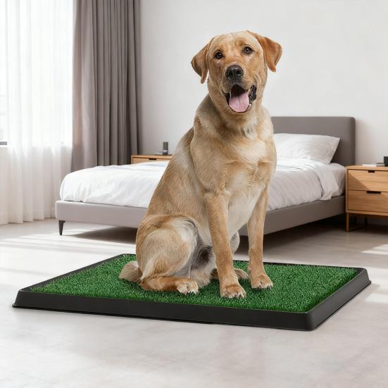 Artificial Grass Dog Pee Pad Fake Turf Pet Potty Pad with Tray Washable 3-Layer Reusable Puppy Training Mat for Indoor Outdoor Use Small Medium Dogs