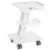 Lab Trolley, 3-Layer Rolling Lab Cart, Metal Mobile Trolley with Swivel Wheels, Tray Rolling Clinic Cart 220 Lbs Weight Capacity, for Lab, Clinic,