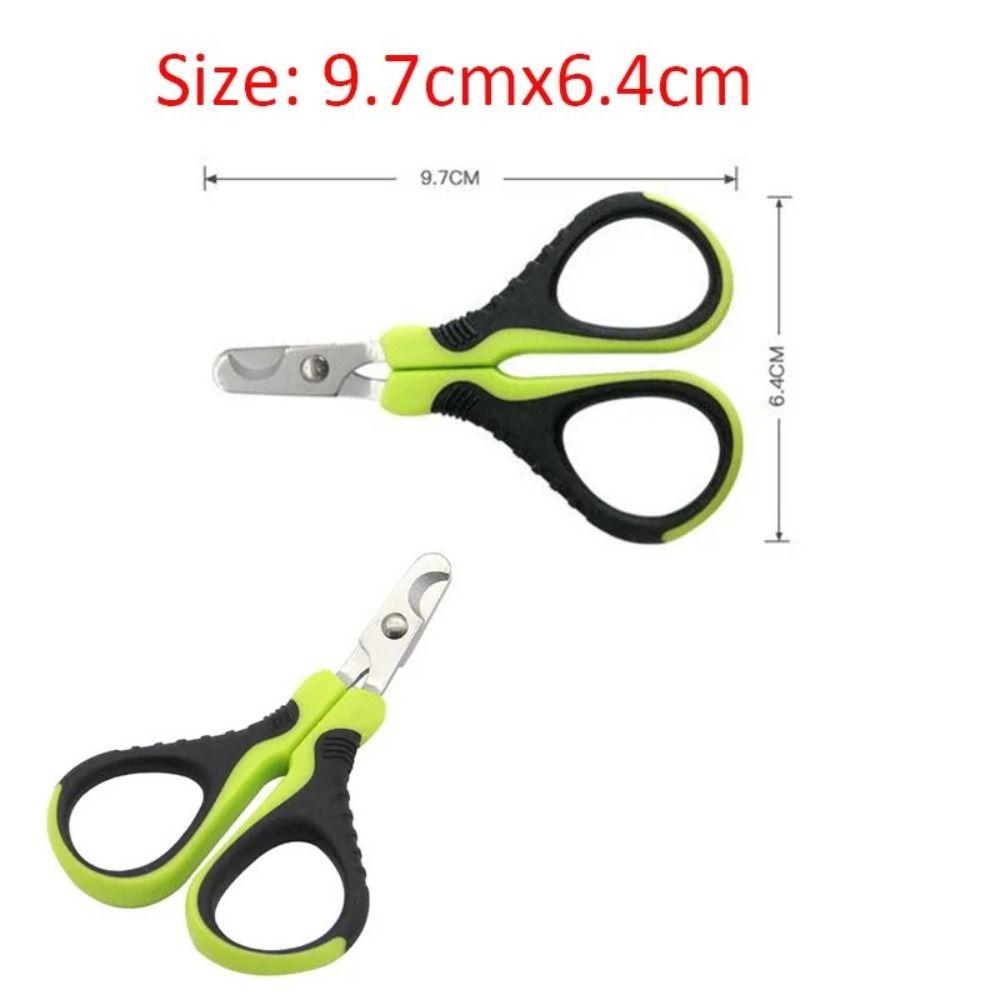 Professional Stainless Steel Pet Nail Clipper Green Small Nail Clippers Nail Trimmers Hamsters